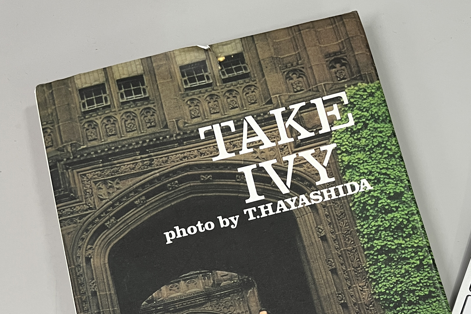 Take Ivy book cover