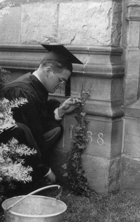 Yale Ivy style — the Class Ivy Planting ceremony, a graduating Yale senior in cap and gown plants ivy beside a dormitory wall inscribed with his class year